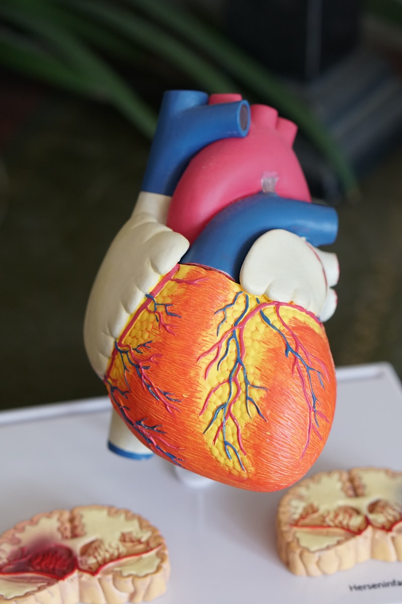 Monitor ECG con ritmo cardíaco